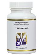 PycnogenolOverig gezondheidsproducten8718053190129