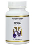 Mucuna pruriensOverig gezondheidsproducten8718053190907