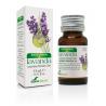 Lavandula officinalisEtherische oliën/aromatherapie8422947080198