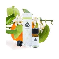 Wintergreen wildEtherische oliën/aromatherapie8714243012844