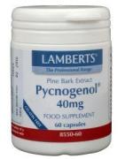 Pijnboombast extract (Pycnogenol 40mg)Fytotherapie5055148403041