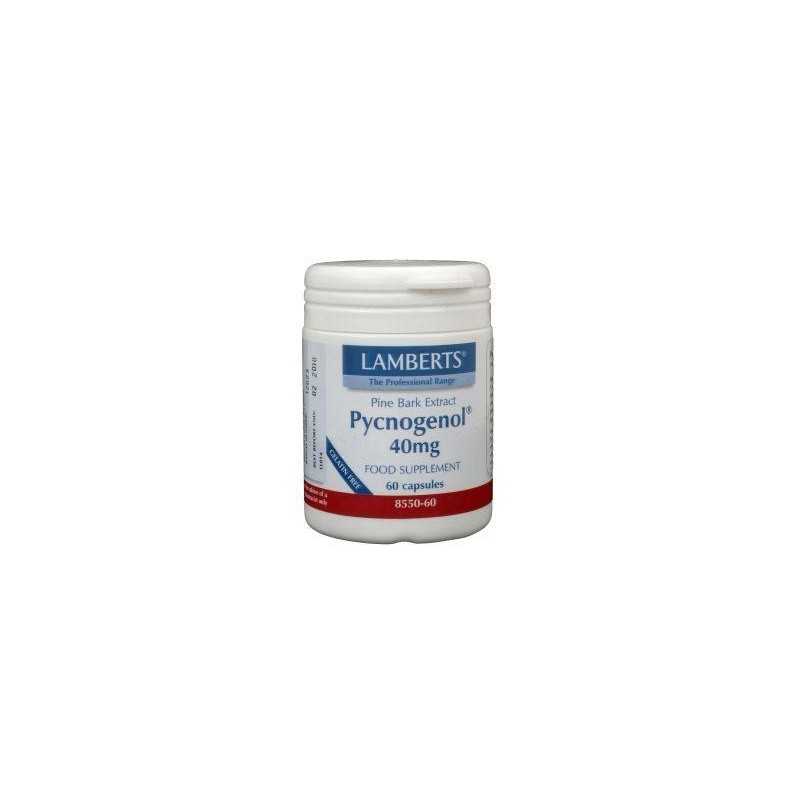 Pijnboombast extract (Pycnogenol 40mg)Fytotherapie5055148403041