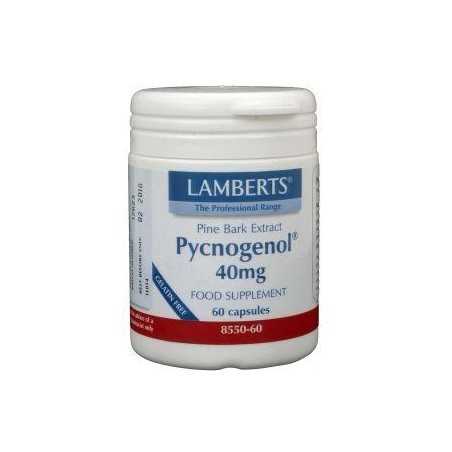 Pijnboombast extract (Pycnogenol 40mg)Fytotherapie5055148403041