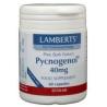 Pijnboombast extract (Pycnogenol 40mg)Fytotherapie5055148403041