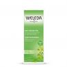 Berken anti cellulite olieOverig lichaam4001638088039