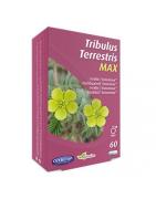 Tribulus terretris maxOverig gezondheidsproducten5425003042058