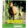 Paardenmelk capsulesOverig gezondheidsproducten8717662480027