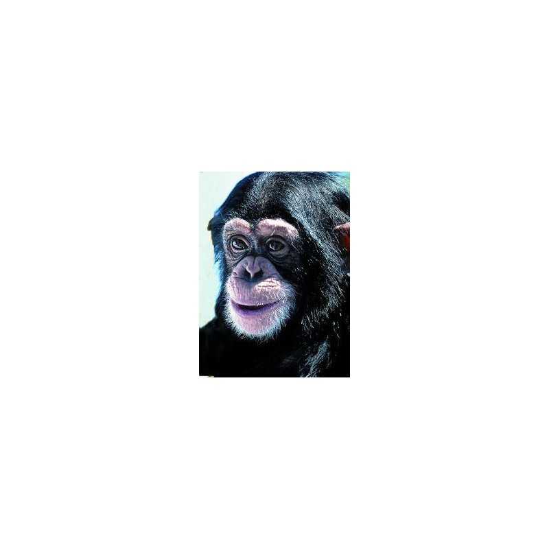 ChimpanzeeEtherische oliën/aromatherapie8717624994098