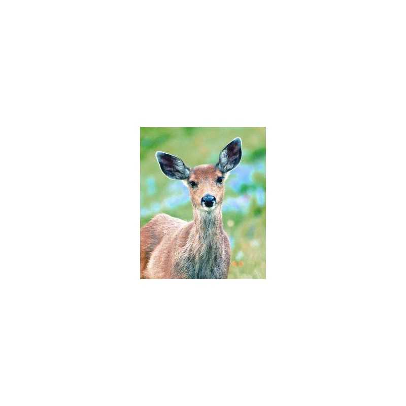 Deer (hert)Etherische oliën/aromatherapie8717624994111