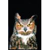 Owl (uil)Etherische oliën/aromatherapie8717624994272