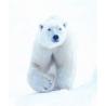 Polar bear (ijsbeer)Etherische oliën/aromatherapie8717624994296