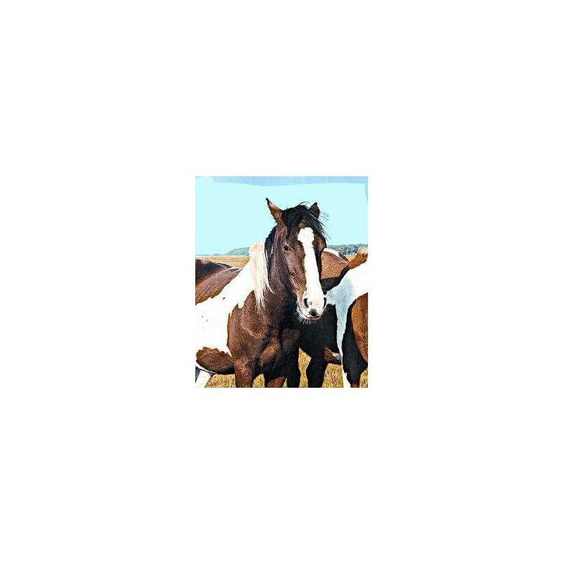 Wild horse (wild paard)Etherische oliën/aromatherapie8717624994432