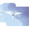 Arctic tern (noordse stern)Fytotherapie8717624994487