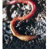 Earthworm (aardworm)Etherische oliën/aromatherapie8717624994555