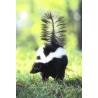 Skunk (stinkdier)Etherische oliën/aromatherapie8717624994753