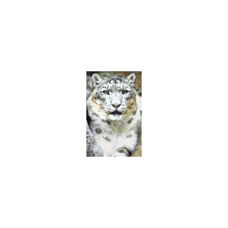 Snow leopard (sneeuwluipaard)Etherische oliën/aromatherapie8717624994777