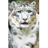 Snow leopard (sneeuwluipaard)Etherische oliën/aromatherapie8717624994777