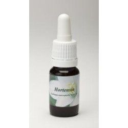 Lemongrass culvitarEtherische oliën/aromatherapie8714243004344