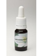 Komkommerkruid 2Etherische oliën/aromatherapie8717624991240