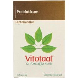 Vegan vitacholineOverig gezondheidsproducten8720959401018