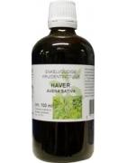 Avena sativa herb/haver tinctuurFytotherapie8713589056215