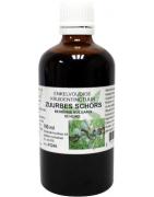 Berberis vulgaris / zuurbes wortelschors tinctuurFytotherapie8713589056376