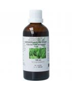 Equisetum arvense / akkerpaardestaart tinctuurFytotherapie8713589057571