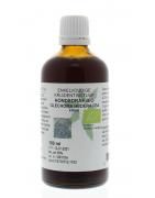 Glechoma hederacea / hondsdraf tinctuur bioFytotherapie8713589058097