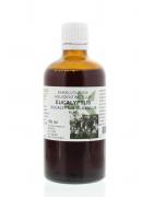 Eucalyptus globulus folia tinctuurFytotherapie8713589064647
