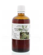 Ledum palustre / moerasrozemarijn tinctuurEtherische oliën/aromatherapie8713589058967