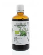 Plantago lanc / smalle weegbree tinctuur bioFytotherapie8713589059834