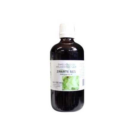 Ribes nigrum / zwarte bes tinctuur bioFytotherapie8713589060151