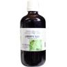 Ribes nigrum / zwarte bes tinctuur bioFytotherapie8713589060151