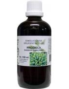 Rhodiola rosea radix tinctuurFytotherapie8713589060236