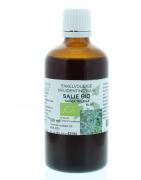 Salvia triloba fol / salie tinctuur bioFytotherapie8713589060472