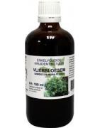 Sambucus nigra / gewone vlier bioFytotherapie8713589060526