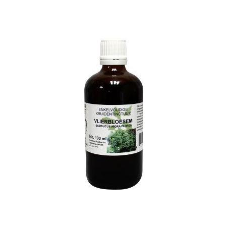 Sambucus nigra / gewone vlier bioFytotherapie8713589060526