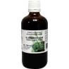 Sambucus nigra / gewone vlier bioFytotherapie8713589060526