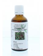 Cranberry vrucht tinctuurFytotherapie8713589064739