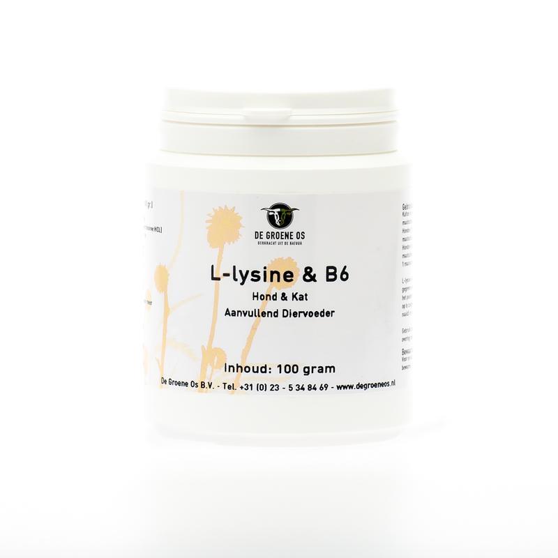 L-Lysine en Vitamine B6 hond/katHond8716378061421