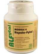 Hepato-fytal leverformuleFytotherapie8717524924058