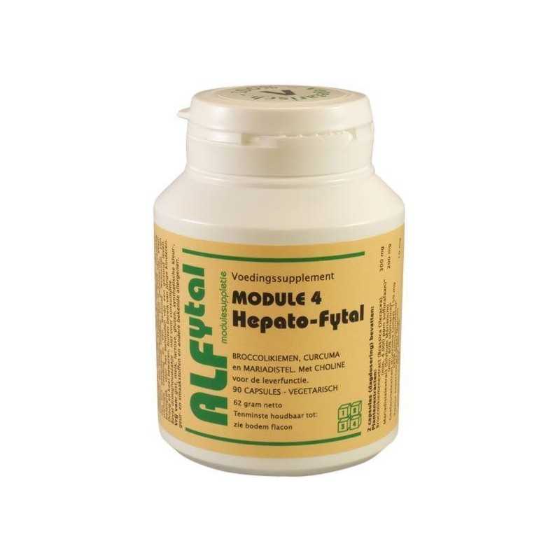 Hepato-fytal leverformuleFytotherapie8717524924058