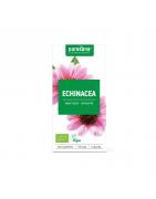 Echinacea vegan bioFytotherapie5400706612494