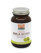 Absolute amla berry extract 500mgOverig gezondheidsproducten8717677961122