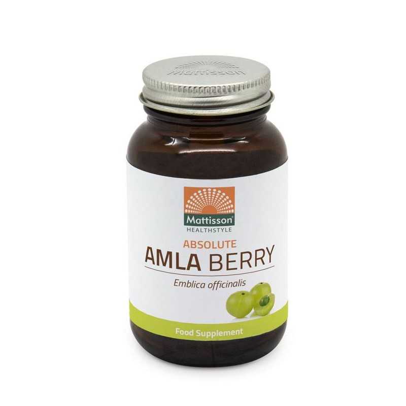 Absolute amla berry extract 500mgOverig gezondheidsproducten8717677961122