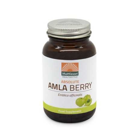 Absolute amla berry extract 500mgOverig gezondheidsproducten8717677961122