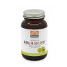 Absolute amla berry extract 500mgOverig gezondheidsproducten8717677961122