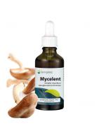 Mycelent Betaglucaan ConcentraatOverig gezondheidsproducten8715216270698