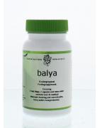 BalyaAyurveda8717496080080