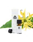 Ylang ylang bioEtherische oliën/aromatherapie8714243049635